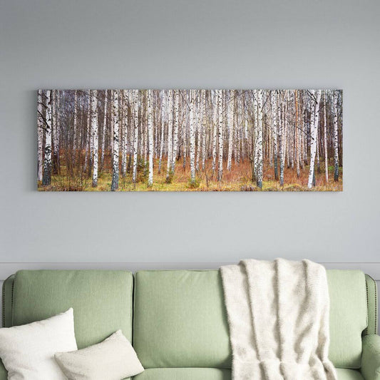 Birch Trees In A Forest - Wrapped Canvas Photograph Print Size: 16 H X 48 W X 1.5 D